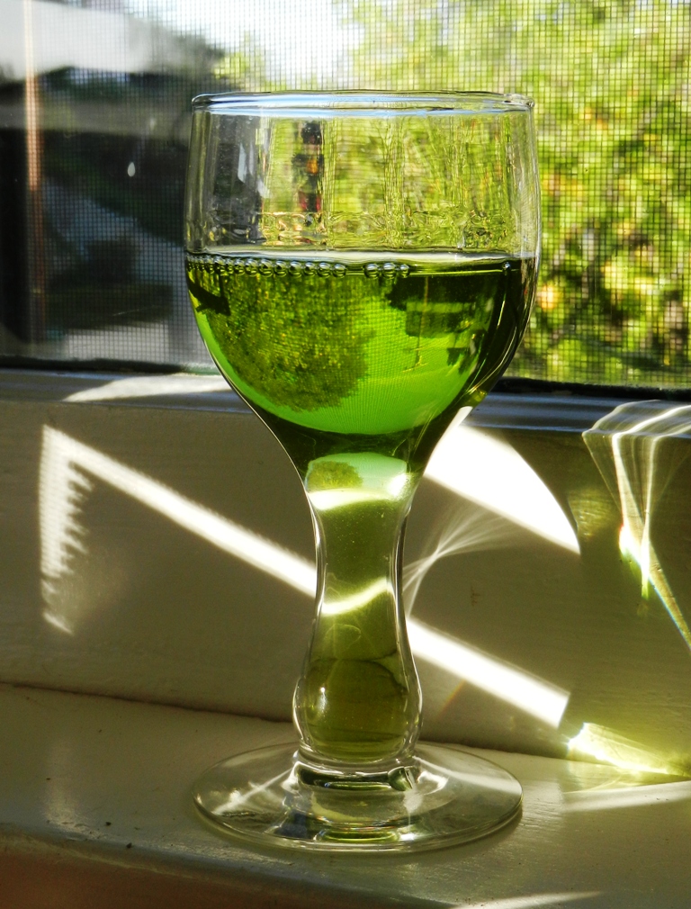 Bay Leaf Liqueur: travel accidents & good things